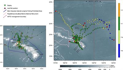 Complex Dispersal of Adult Yellowfin Tuna From the Main Hawaiian Islands